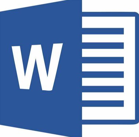 MS word Logo
